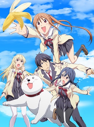 Aho Girl