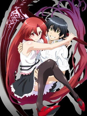 Dakara Boku wa, H ga Dekinai