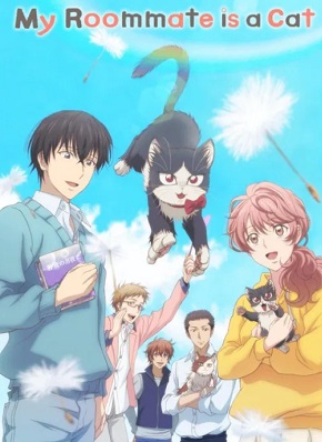 Doukyonin wa Hiza, Tokidoki, Atama no Ue