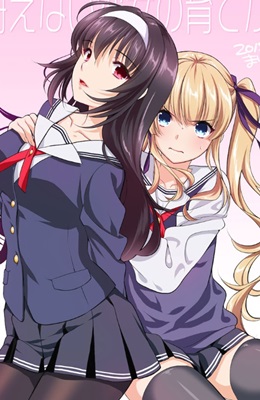 Saenai Heroine no Sodatekata